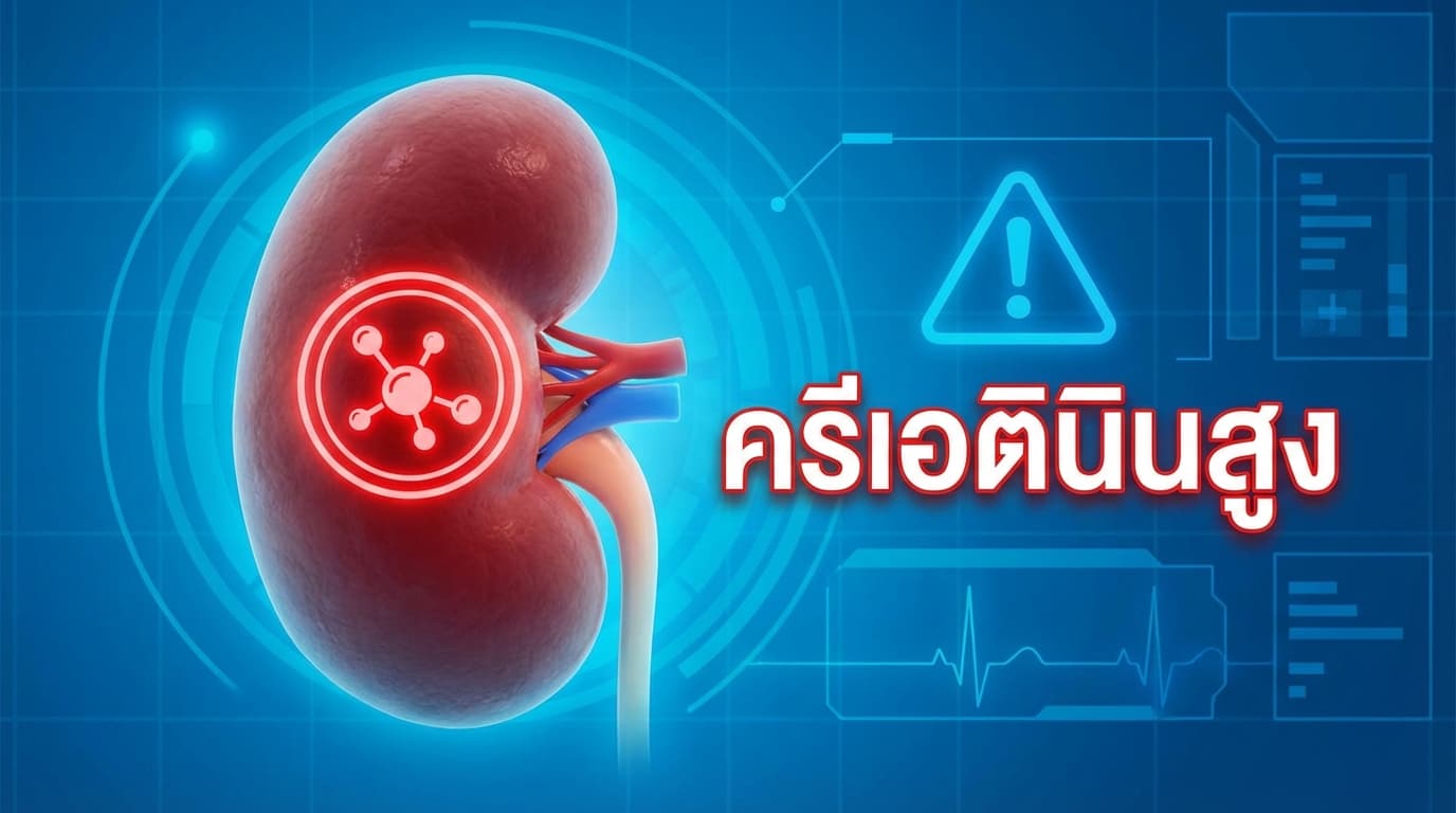 creatinine สูง — ต้องทำอะไรทันที และห้ามกินอะไรบ้าง